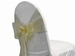 Organzaschleife Champagne